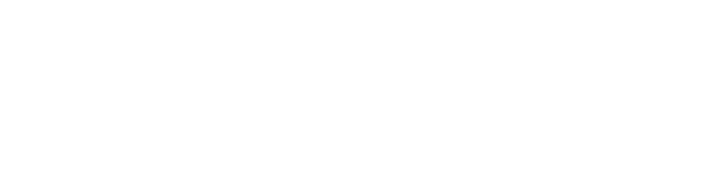 Scanning the world with MS-96 • Viametris
